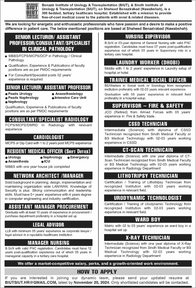 SIUT Nawabshah Jobs November 2024 Teaching Faculty & Others BIUT Latest