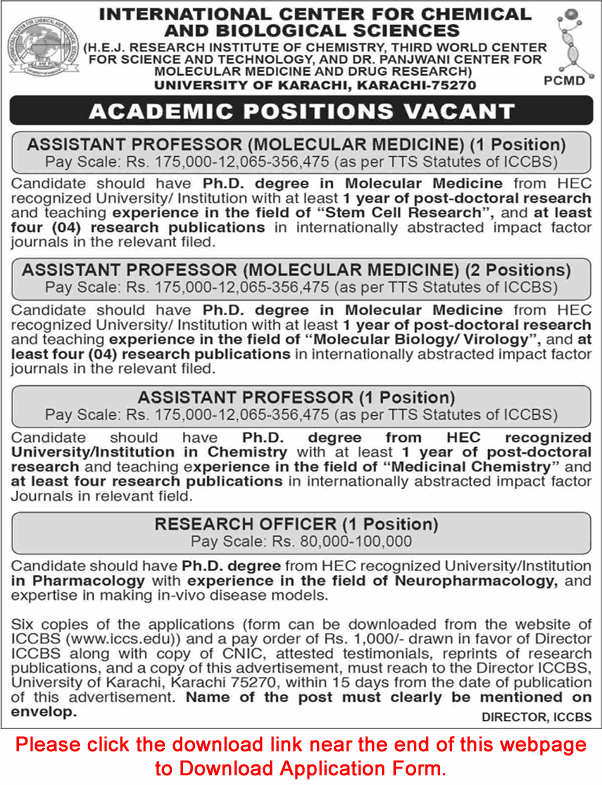 ICCBS University of Karachi Jobs 2025 February Application Form Teaching Faculty & Research Officer Latest