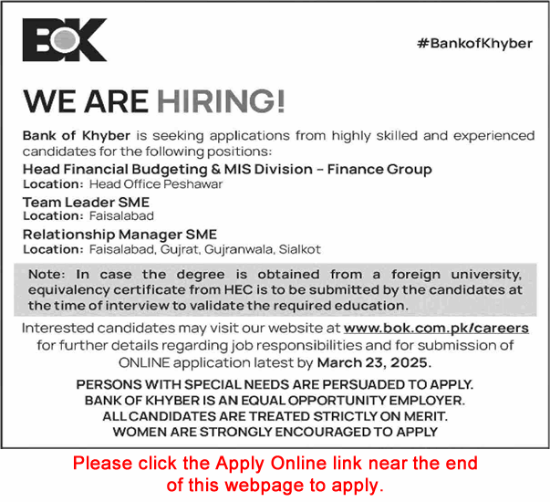 Bank of Khyber Jobs March 2025 Apply Online Relationship Managers & Others BOK Latest