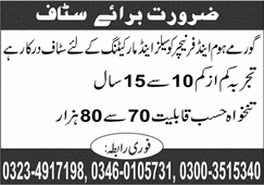 Sales & Marketing Jobs in Lahore 2025 February Gourmet Home & Furniture Latest