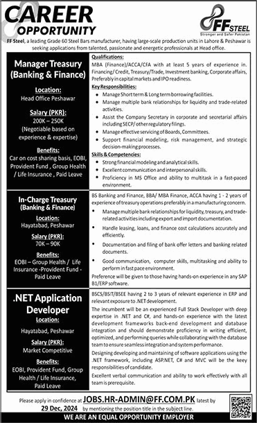 FF Steel Peshawar Jobs December 2024 / 2025 .NET Application Developer & Others Latest