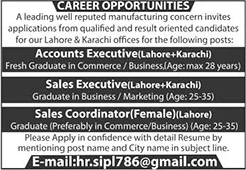 Accounts / Sales Executive & Coordinator Jobs in Lahore / Karachi 2025 February Latest